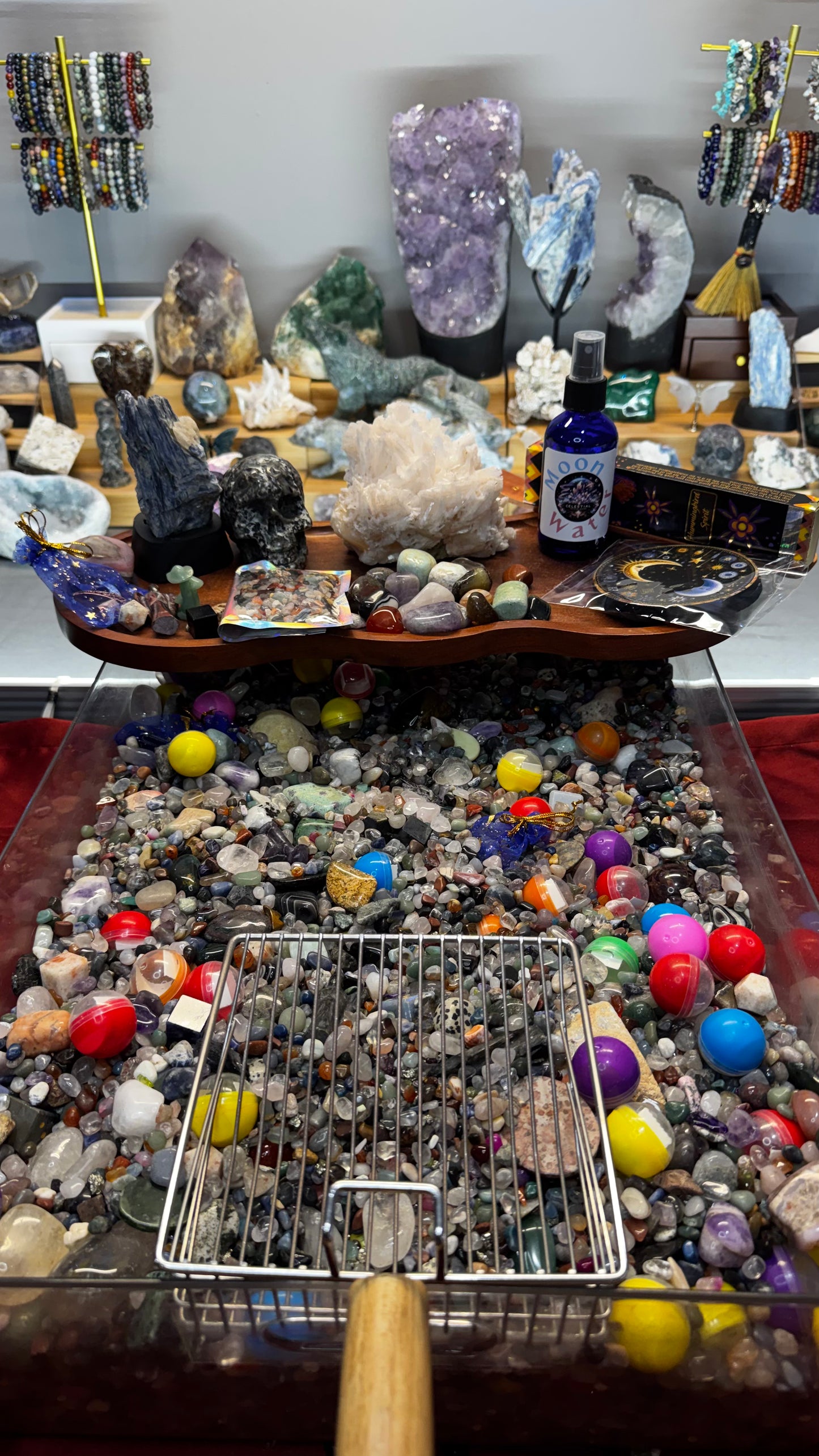 Sirian Starseed Scoop