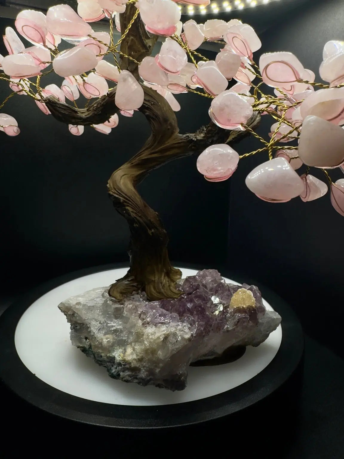 Rose Quartz Tree of Life & Love Celestial Crystal Haven